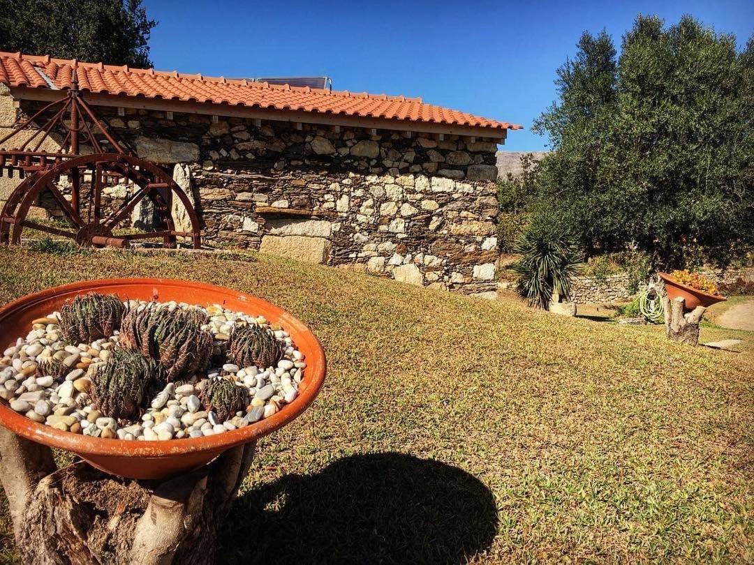 Quinta Do Fortunato Viana do Castelo Luaran gambar